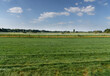 Turf racecourse. The landscape of green grass hippodrome with blue sky. Horse track. Green grass field