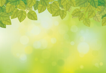Wall Mural - vector green, bokeh, nature background. green leaves border.