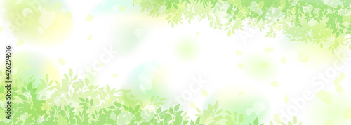 Obraz W Ramie ぼんやりぼやけた新緑の横長背景イラスト Zielony Roslina Lisc Fototapety Foteks