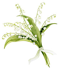 A Bouquet Of Lilies Of The Valley, Tied With A Ribbon. Watercolor Illustration Of Spring Flowers.