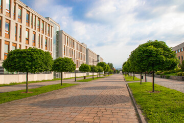 Beautiful green nature trees near modern office buildings