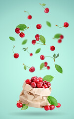 Wall Mural - Cherry berries levitating on a blue background. Background with copy space. Selective focus.