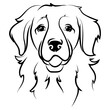 vector golden retriever labrador dog breed head black white outline