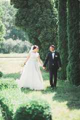  Perfect couple bride, groom posing and kissing in their wedding day