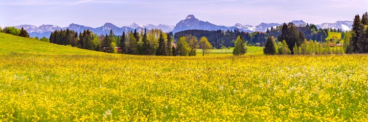 beautiful rural landscape in Bavaria with mountain range and meadow at springtime