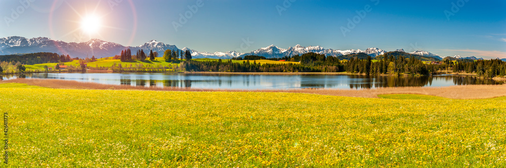 beautiful rural landscape in Bavaria with mountain range and meadow at springtime - obrazy, fototapety, plakaty 