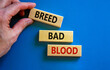 Breed bad blood symbol. Businessman holds wooden block with words 'Breed bad blood'. Beautiful blue background, copy space. Business, breed bad blood concept.