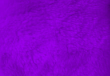 Purple Fur Background Close Up View.