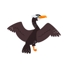 Vector Illustration On White Background, Cormorant Bird