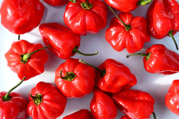 Poster - Red chili peppers on a white background