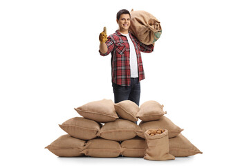 Poster - Full length portrait of a farmer gesturing a thumb up sign behind sacks with potatoes