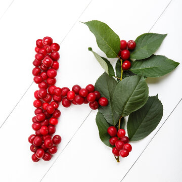 Letter H from summer harvest of cherry on white wooden background. Fruit summer alphabet. Sweet mood font. Letter H from green leaves and cherry berries. Colorful ABC, Text