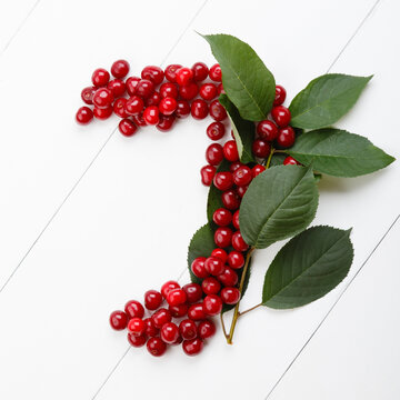 Letter J from summer harvest of cherry on white wooden background. Fruit summer alphabet. Sweet mood font. Letter J from green leaves and cherry berries. Colorful ABC, Text