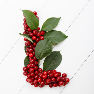 Letter L from summer harvest of cherry on white wooden background. Fruit summer alphabet. Sweet mood font. Letter L from green leaves and cherry berries. Colorful ABC, Text