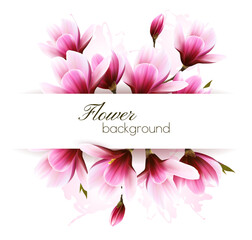 Poster - Natural greeting card with pink magnolia flowers. Vector.
