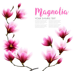 Poster - Natural greeting background with pink magnolia flowers. Vector.