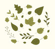 Vector elements of nature for landscape and design. Green spring and summer forest leaves. Leaf collection. 