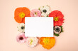 © IlzeLuceroPhoto - Poppies and ranunculus floral flat lay with blank stationery card on blush background