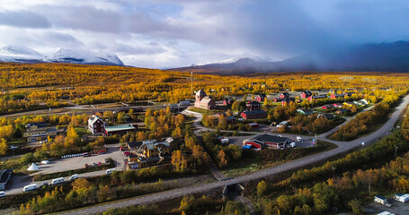 Wall Mural - Abisko village foliage 01