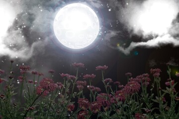 Wall Mural - moon.