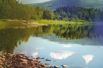 Wall Mural - Beautiful summer landscape, lake shore and clouds reflecting in water