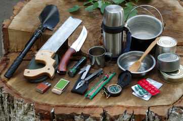 Wall Mural - A set of items for tourism and survival in nature on a tree stump.