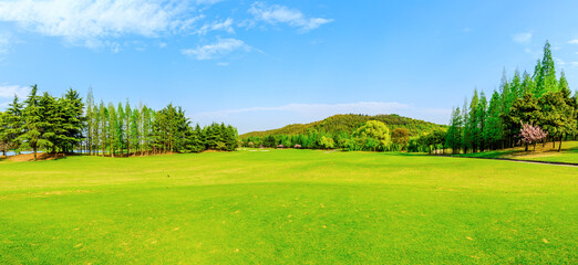 Green grass and forest in spring season.