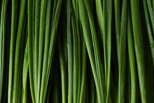 Fresh Green Onion On Whole Background, Close Up
