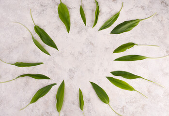 Fresh wild garlic leaves on a textured background