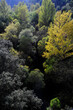 Laubmischwald in der Sierra de Cazorla, Spanien // Mixed deciduous forest in the Sierra de Cazorla, Spain