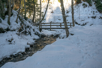 Canvas Print - Picturesque winter landscape. Mountain stream and old wooden bridge