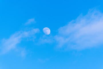 Wall Mural - blue sky on daytime with a half of the moon. close up and soft focus. rising moon