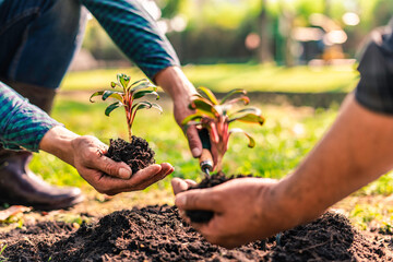 World environment day afforestation nature and ecology concept The male volunteer are planting seedlings and trees growing in the ground while working to save Earth, Earth Day.