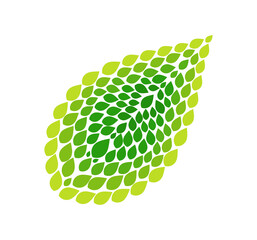 Wall Mural - green leaf symbol. abstract leaf shape. vector illustration.