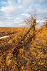 Wall Mural - landscape with a destroyed fence in the field