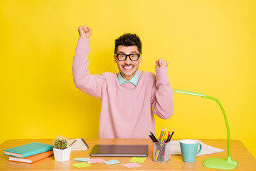 Sticker - Photo of young excited crazy smiling cheerful man in glasses raise fists in victory isolated on yellow color background