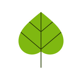 Wall Mural - green leaf icon. tilia leaf flat design. vector illustration.