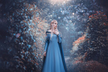 Beautiful Fantasy Woman Elven Goddess Walks In Spring Nature Forest. Long Creative Vintage Blue Dress, Sleeves. Blond Hair Fluttering In Motion. Fairy Cute Face. Art Girl Elf Princess Fashion Model.