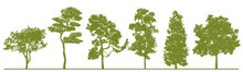 Detailed Tree Silhouettes. Set Of Green Trees In   Silhouettes Isolated On White Background. Collection Of Different Shapes Forest Trees. Elements Are  Moveable For Your Design. Vector EPS10