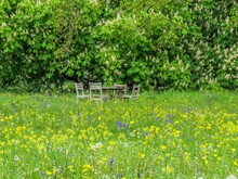 Rustic Wooden Picnic Table And Chairs In A Beautiful Wildflower Meadow