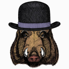 Wild boar, hog, pig. Animal head, portrait. Bowler hat.