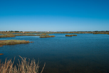 Wall Mural - high tide on the Marismas de Isla Cristina in Huelva, Spain