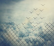 canvas print picture - Surreal and magical escape as metallic wire mesh transforming into flying birds above the clouds. Overcoming obstacles together, teamwork concept. Freedom and success minimalist inspirational art.