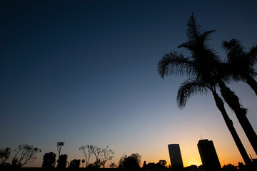 Wall Mural - Sunset silhouette view of the downtown skyline of Oxnard, California, USA.