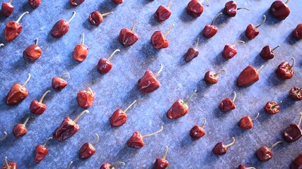 Wall Mural - Red color raw whole dried round chili