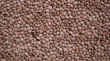 Wall Mural - Raw whole dried brown Masoor lentils