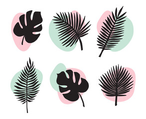 Wall Mural - Vector set bundle of hand drawn sketch palm and monstera leaf silhouette and abstract dot isolated on white background