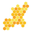 © Aksana - honeycomb icon on white background. flat style design.