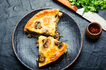 Wall Mural - Meat pie with champignon