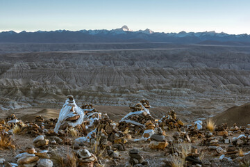 Wall Mural - Eroded landscape and rock towers in Zanda soil forest